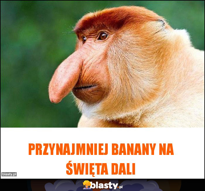 Przynajmniej banany na święta dali Przynajmniej banany na święta dali