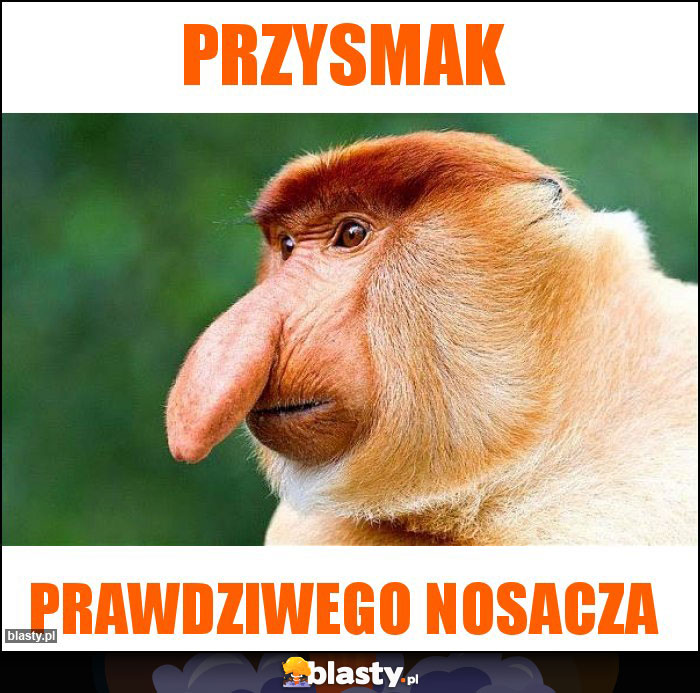 Przysmak