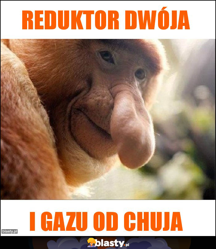 Reduktor dwója Reduktor dwója