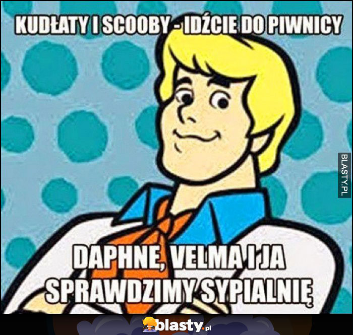 Scooby-doo Kudłaty i Scooby idźcie do piwnicy. Daphne, Velma i ja sprawdzimy sypialnię