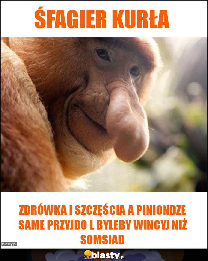 Śfagier kurła Śfagier kurła