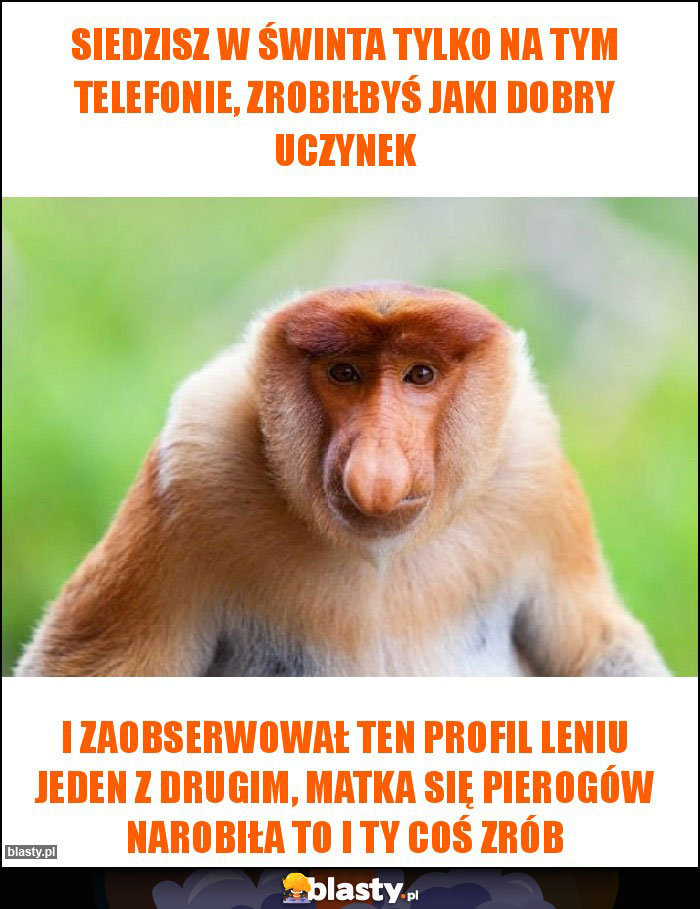 Siedzisz w świnta tylko na tym telefonie, zrobiłbyś jaki dobry uczynek Siedzisz w świnta tylko na tym telefonie, zrobiłbyś jaki dobry uczynek