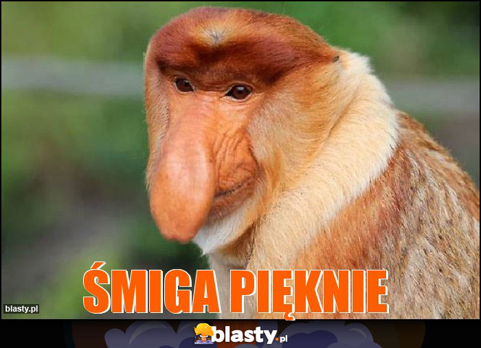 ŚMIGA PIĘKNIE ŚMIGA PIĘKNIE