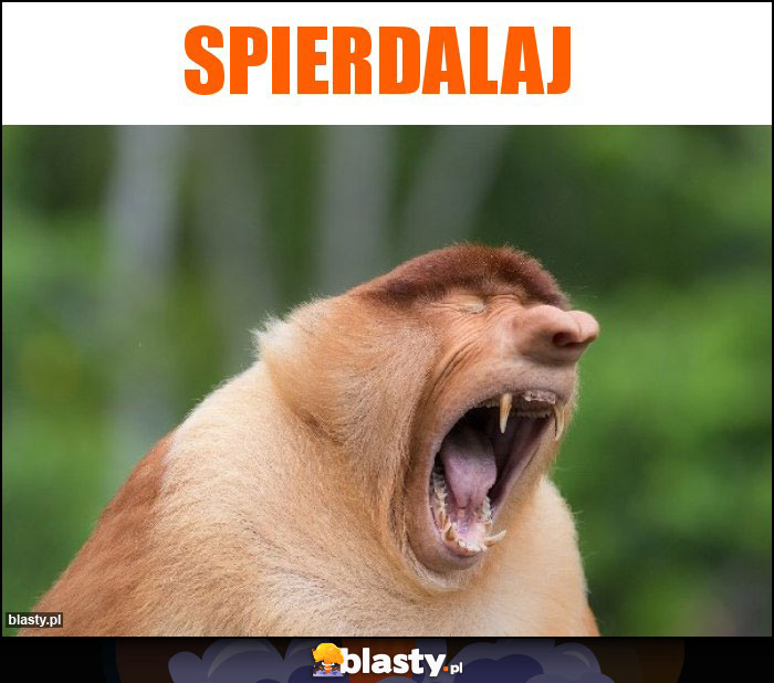 spierdalaj spierdalaj