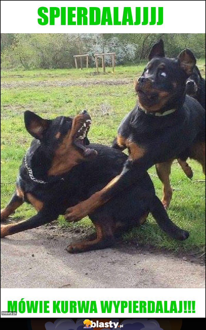 Spierdalajjjj Spierdalajjjj