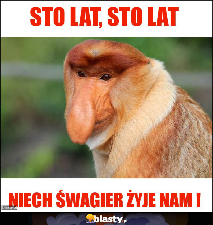 STO LAT, STO LAT STO LAT, STO LAT
