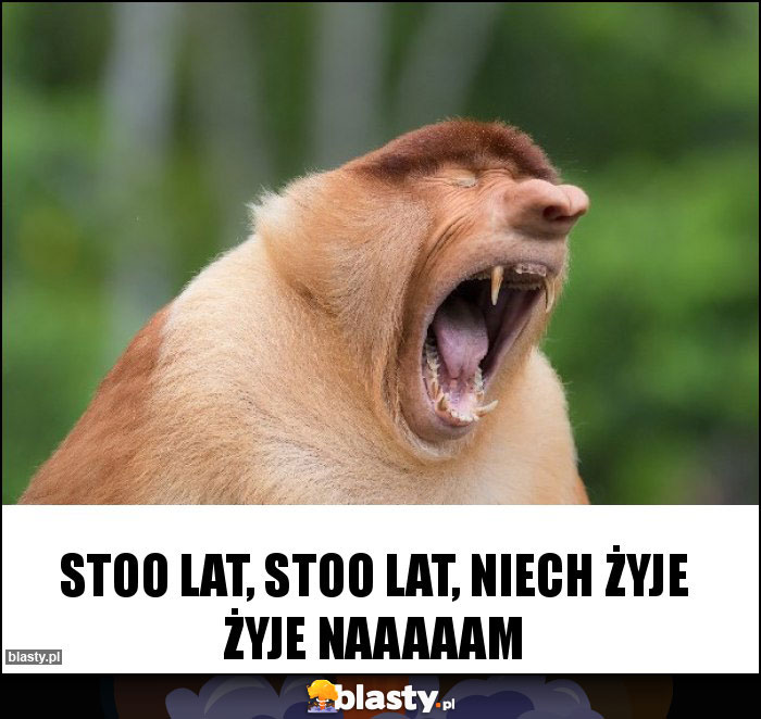 Stoo lat, stoo lat, niech żyje żyje naaaaam Stoo lat, stoo lat, niech żyje żyje naaaaam