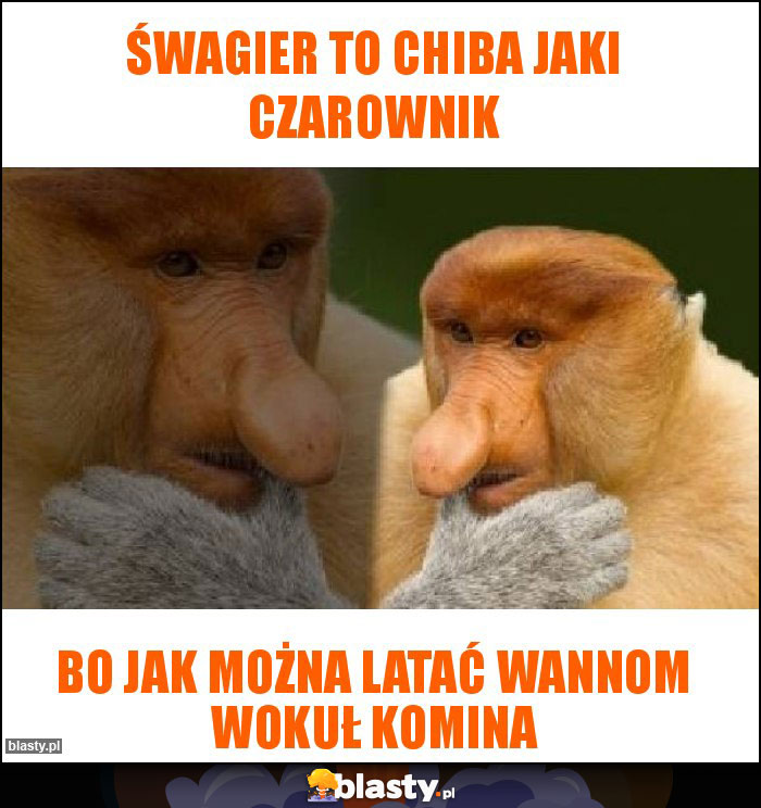 śwagier to chiba jaki czarownik śwagier to chiba jaki czarownik