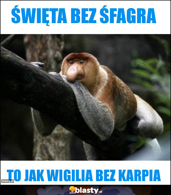 święta bez śfagra święta bez śfagra