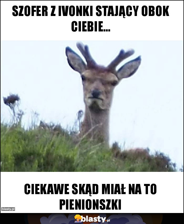 Szofer z Ivonki stający obok Ciebie... Szofer z Ivonki stający obok Ciebie...