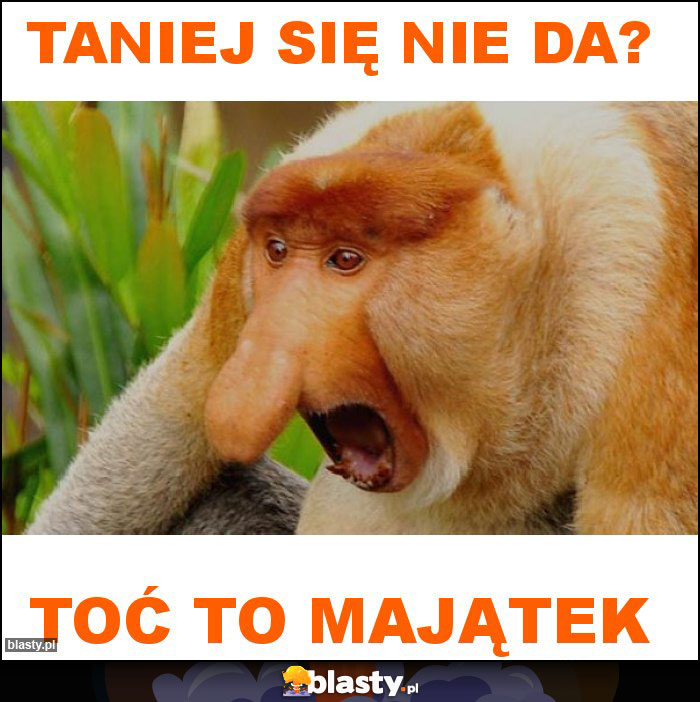 taniej się nie da? taniej się nie da?