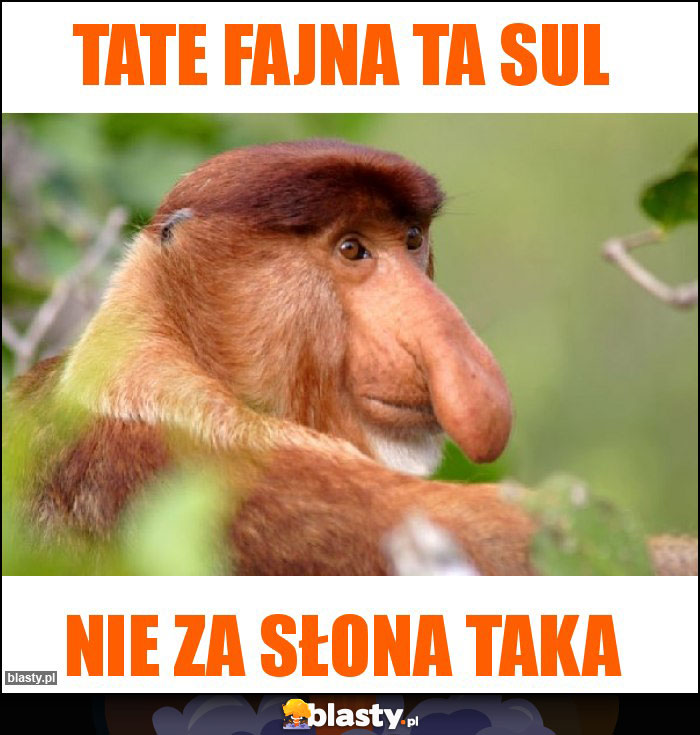 Tate fajna ta sul Tate fajna ta sul