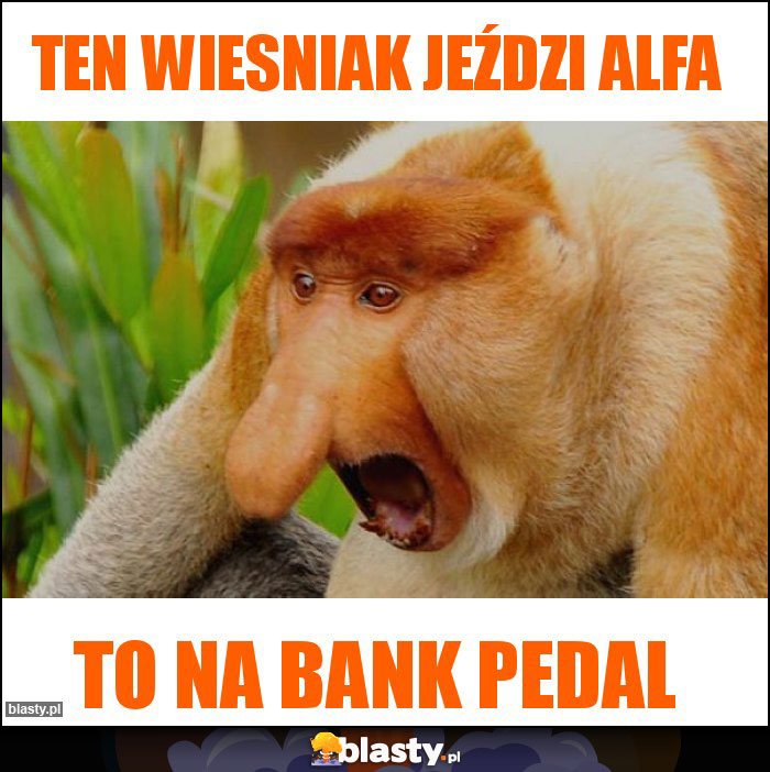 Ten wiesniak jeździ alfa