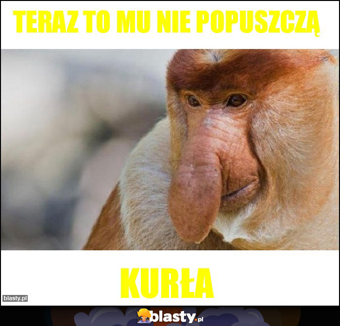 Teraz to mu nie popuszczą Teraz to mu nie popuszczą