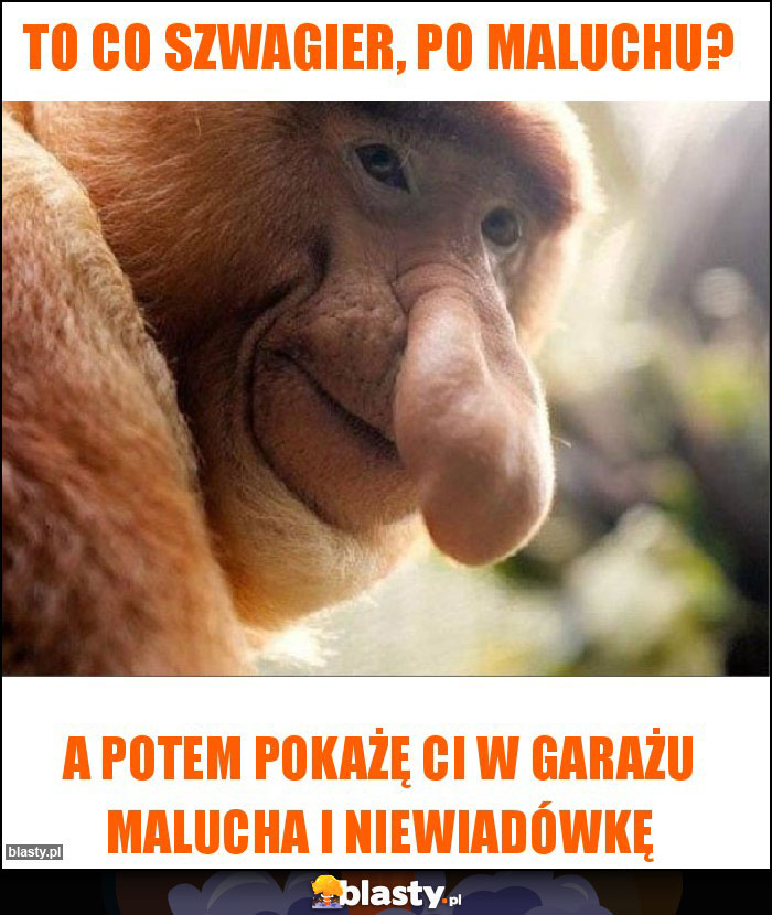 To co szwagier, po maluchu? To co szwagier, po maluchu?