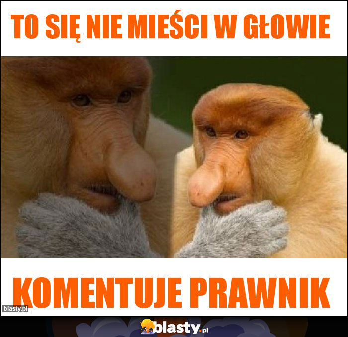 To się nie mieści w głowie To się nie mieści w głowie