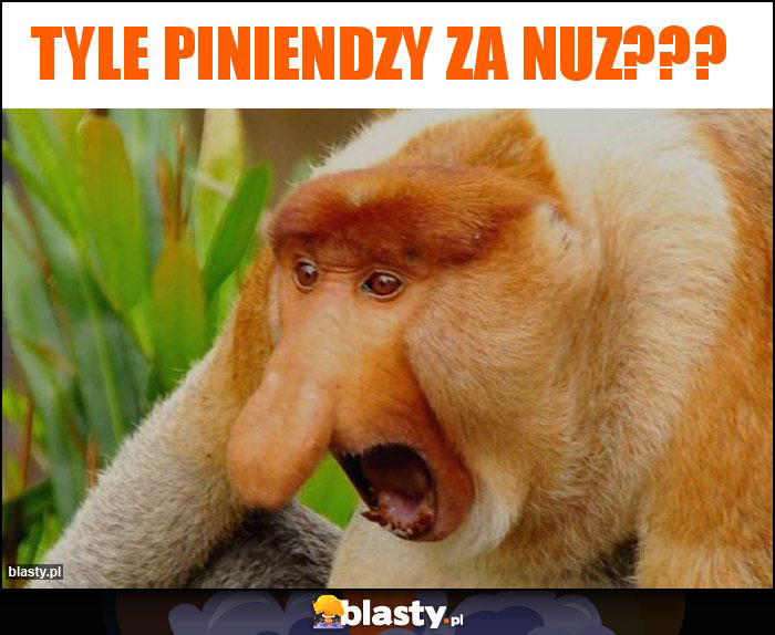 Tyle piniendzy za nuz??? Tyle piniendzy za nuz???