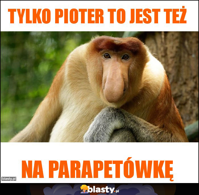 Tylko Pioter to jest też Tylko Pioter to jest też