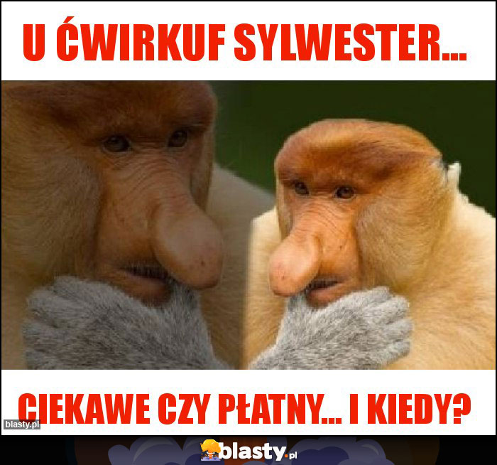 U Ćwirkuf Sylwester... U Ćwirkuf Sylwester...