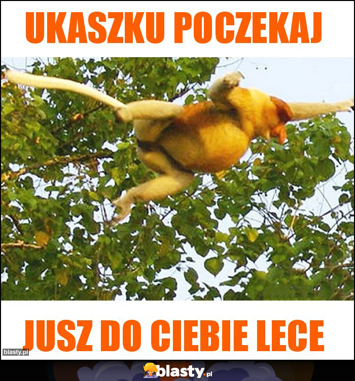 Ukaszku poczekaj Ukaszku poczekaj