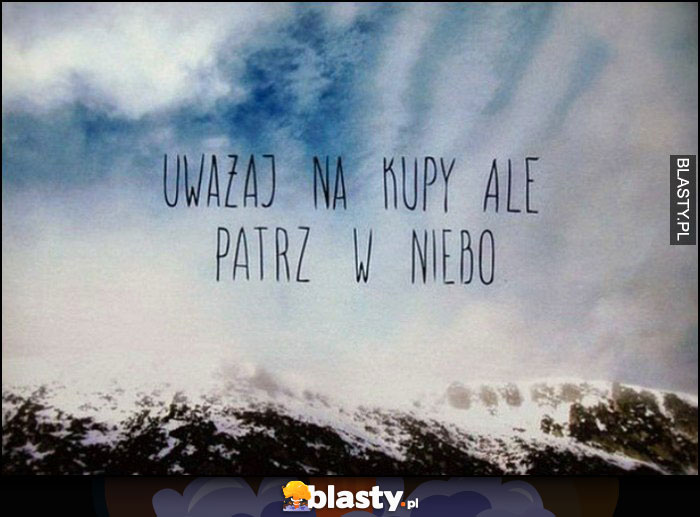 Uważaj na kupy ale patrz w niebo