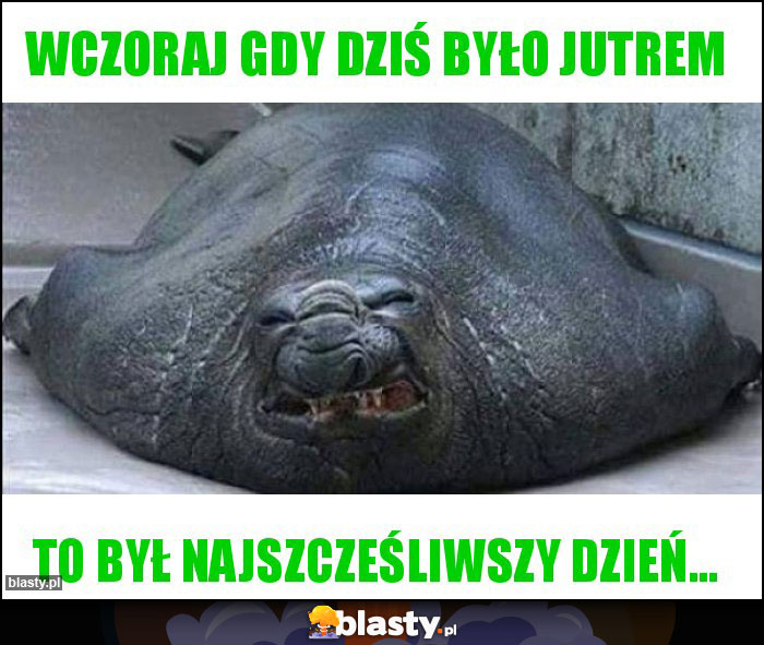 Wczoraj gdy dziś było jutrem Wczoraj gdy dziś było jutrem