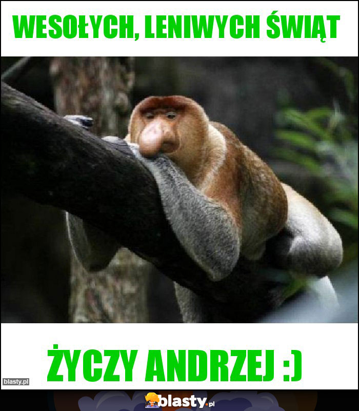 Wesołych, leniwych świąt Wesołych, leniwych świąt