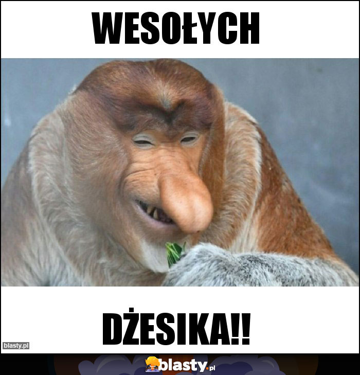 WESOŁYCH