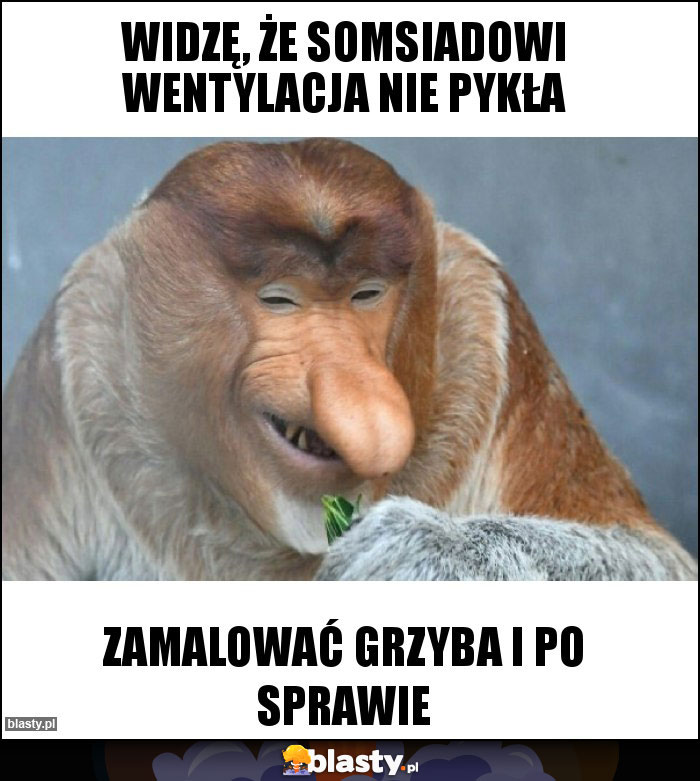 Widzę, że somsiadowi wentylacja nie pykła Widzę, że somsiadowi wentylacja nie pykła