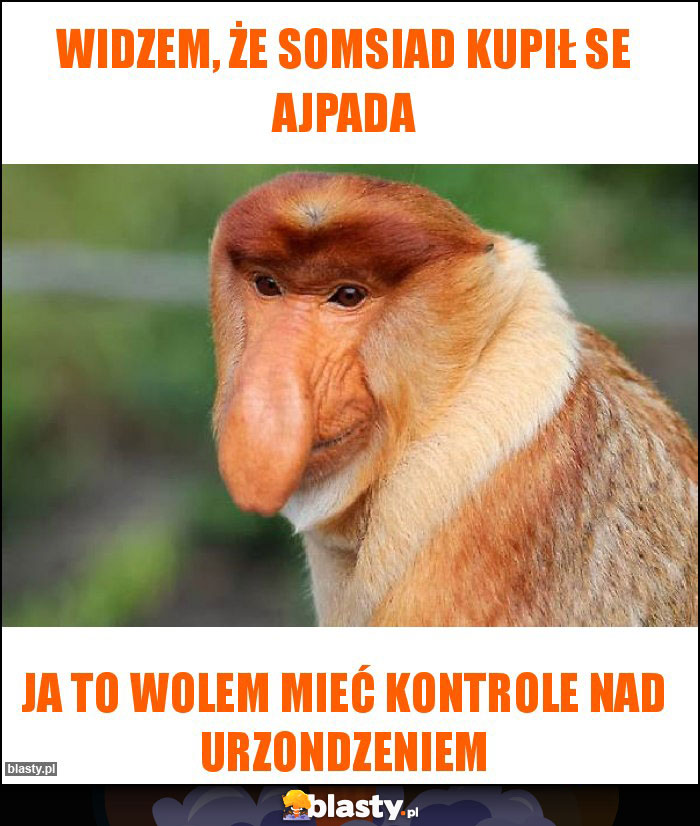 Widzem, że somsiad kupił se ajpada