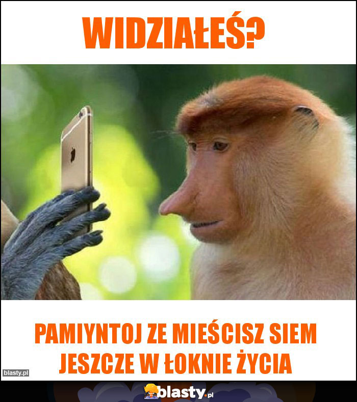 Widziałeś?