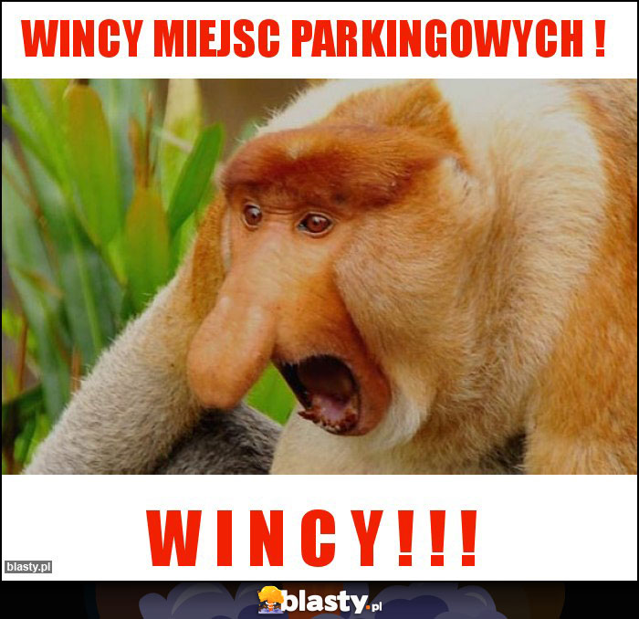 WINCY MIEJSC PARKINGOWYCH ! WINCY MIEJSC PARKINGOWYCH !
