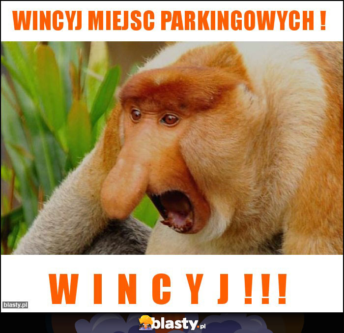 WINCYJ MIEJSC PARKINGOWYCH ! WINCYJ MIEJSC PARKINGOWYCH !