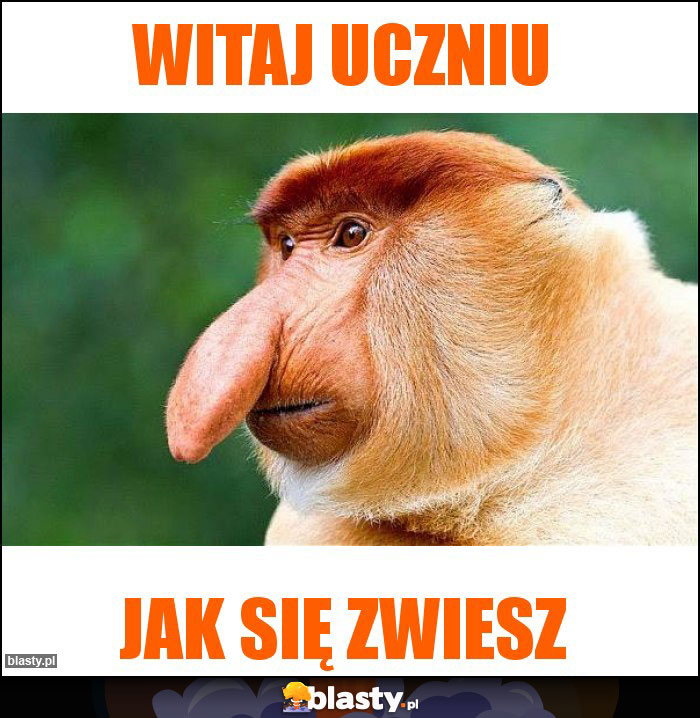 witaj uczniu witaj uczniu