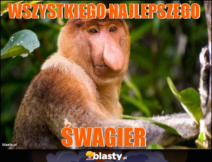 Wszystkiego najlepszego Wszystkiego najlepszego