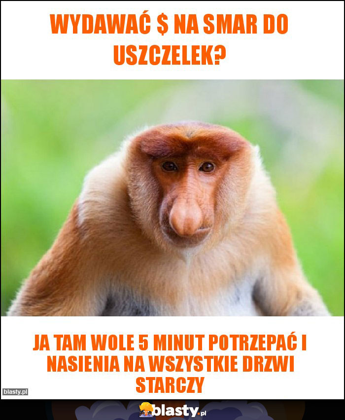 Wydawać $ na smar do uszczelek? Wydawać $ na smar do uszczelek?