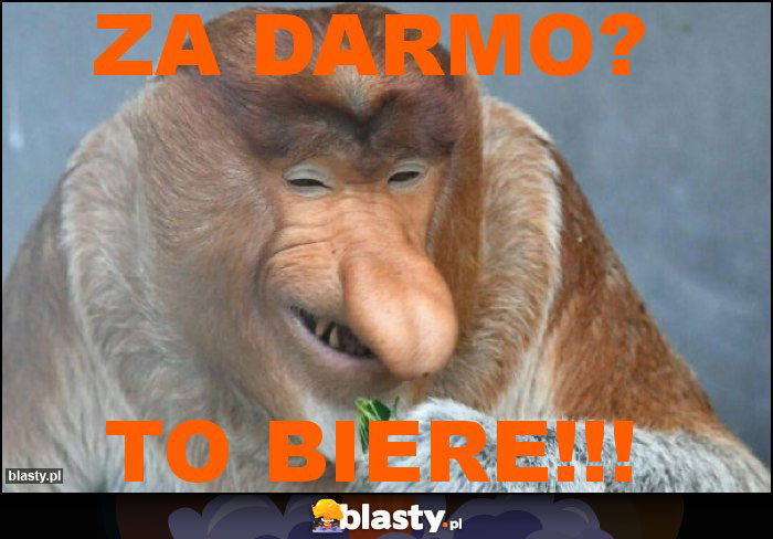 ZA DARMO?