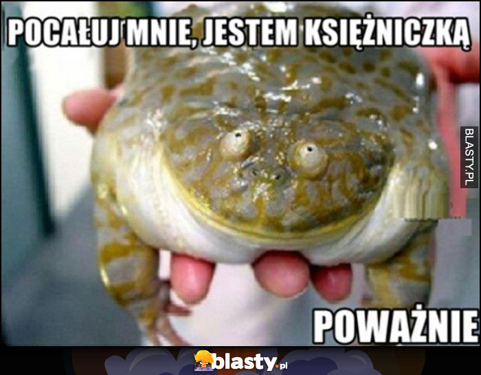 Żaba pocałuj mnie, jestem księżniczką, poważnie