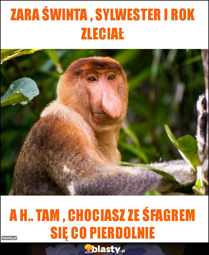 Zara świnta , sylwester i rok zleciał Zara świnta , sylwester i rok zleciał