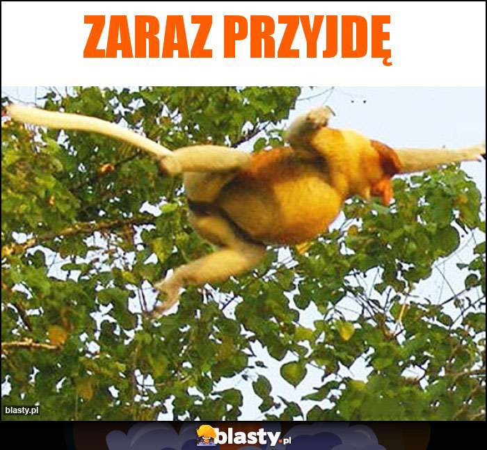 Zaraz przyjdę Zaraz przyjdę
