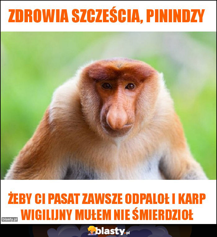 ZDROWIA SZCZEŚCIA, PININDZY ZDROWIA SZCZEŚCIA, PININDZY