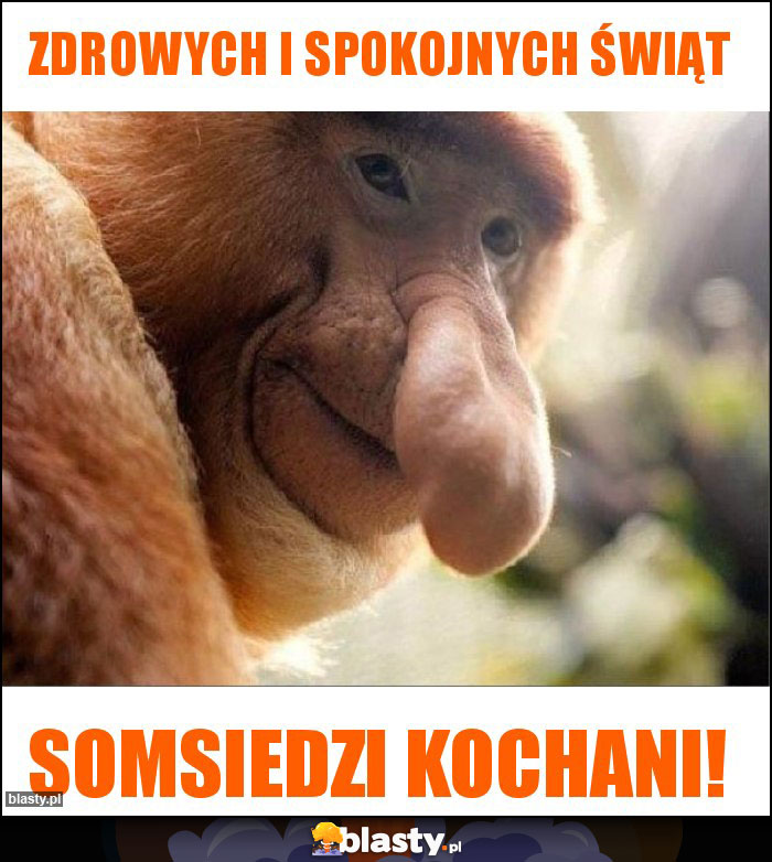 Zdrowych i spokojnych Świąt Zdrowych i spokojnych Świąt