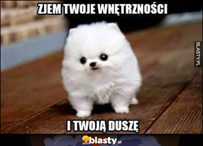 Zjem Twoje wnętrzności i Twoją duszę pies piesek