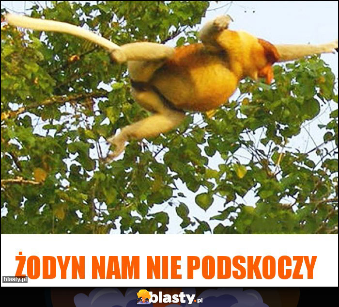 Żodyn nam nie podskoczy Żodyn nam nie podskoczy