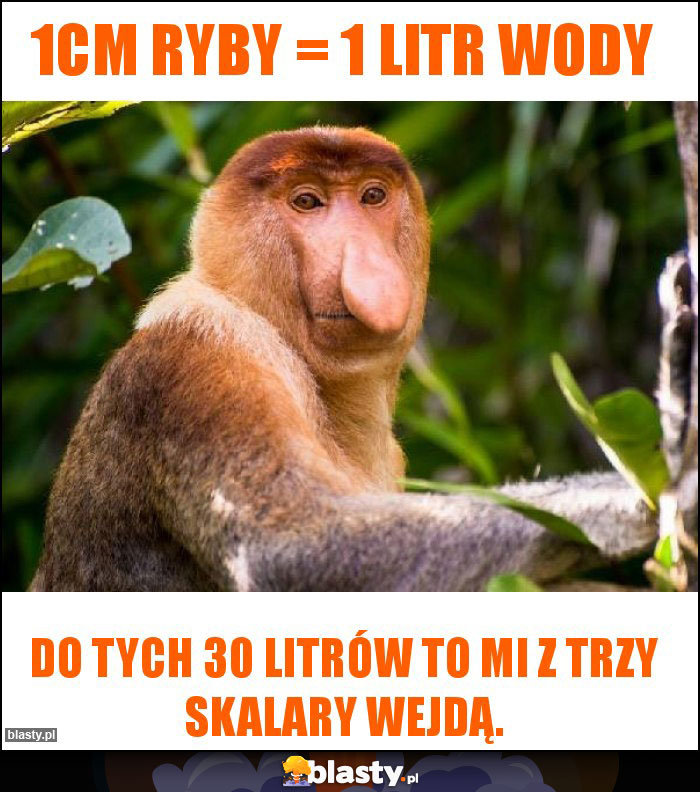 1cm ryby = 1 litr wody 1cm ryby = 1 litr wody