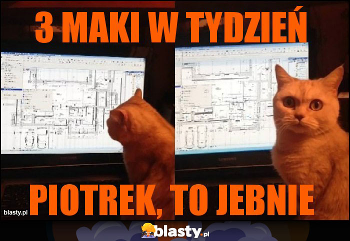 3 Maki w tydzień 3 Maki w tydzień