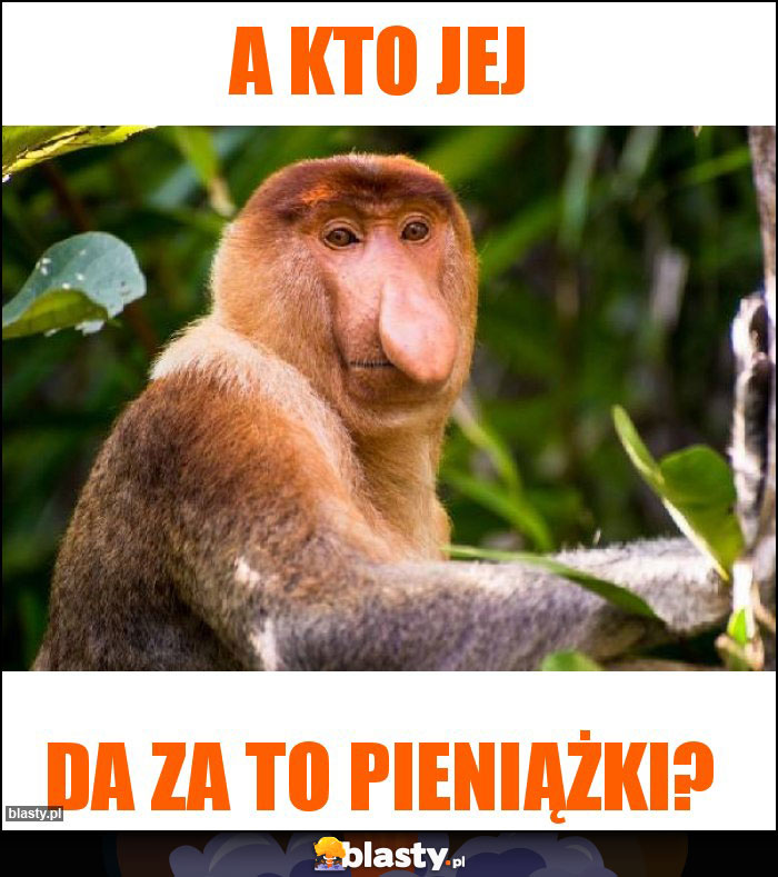 a kto jej