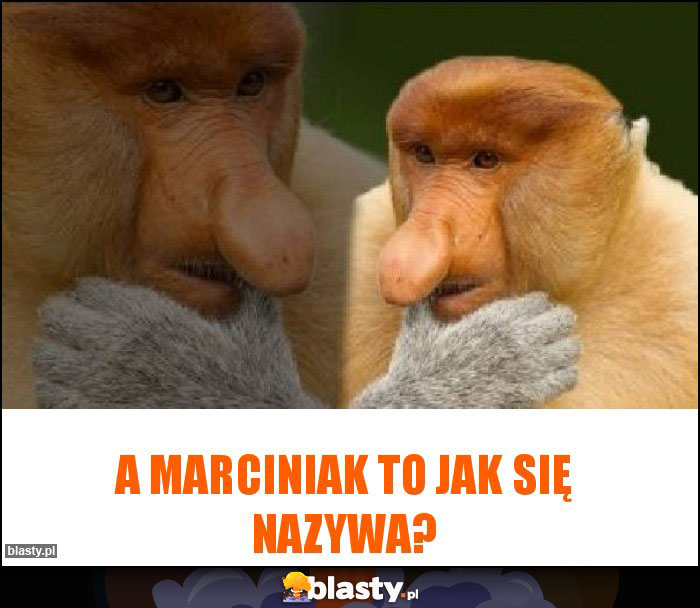 A Marciniak to jak się nazywa? A Marciniak to jak się nazywa?