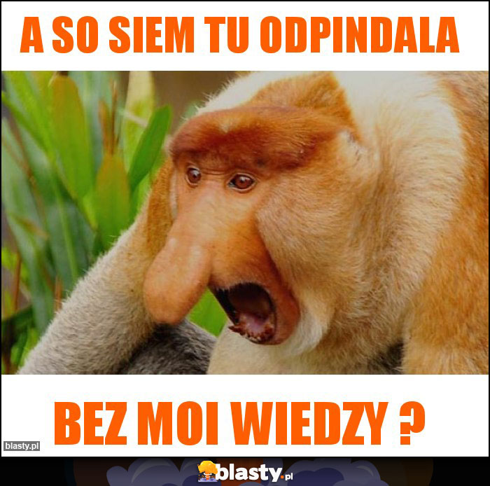 A SO SIEM TU ODPINDALA A SO SIEM TU ODPINDALA