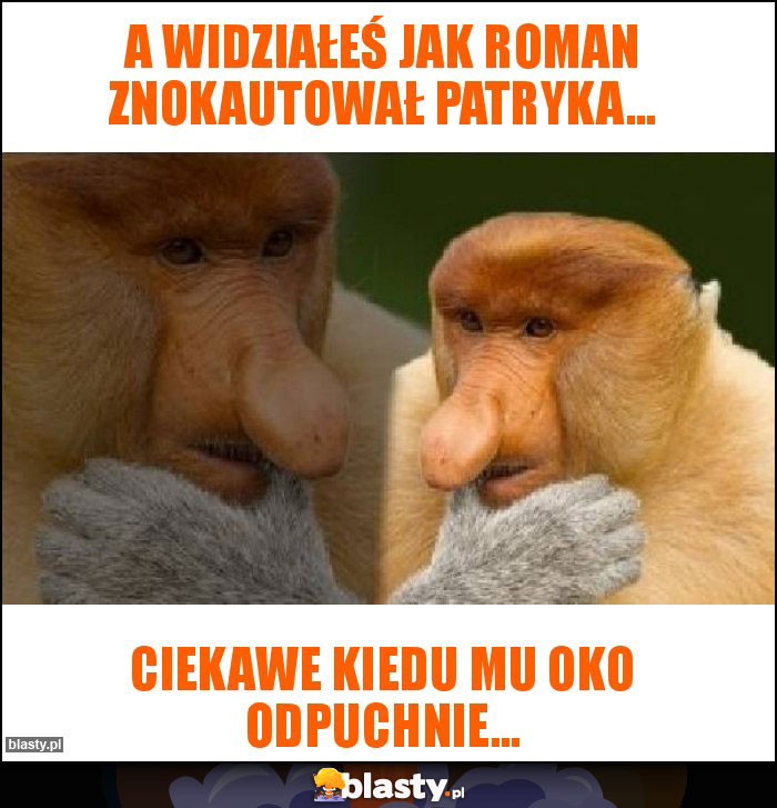 A widziałeś jak Roman znokautował Patryka... A widziałeś jak Roman znokautował Patryka...
